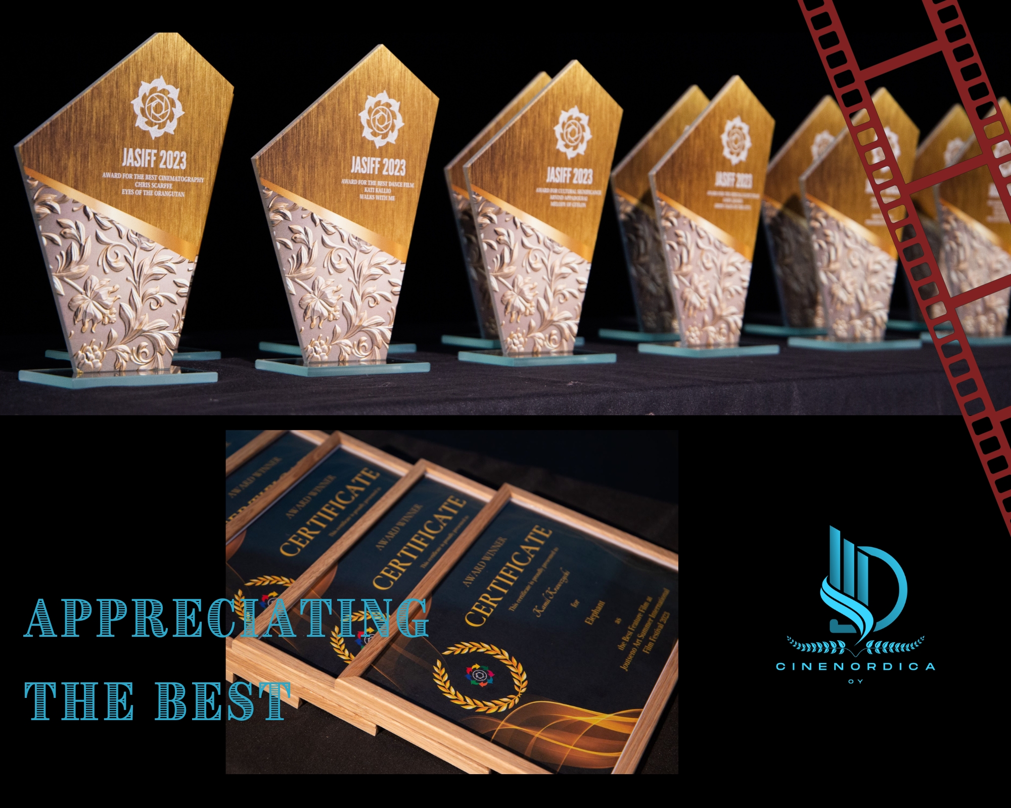 Golden Norppa Award trophy concept